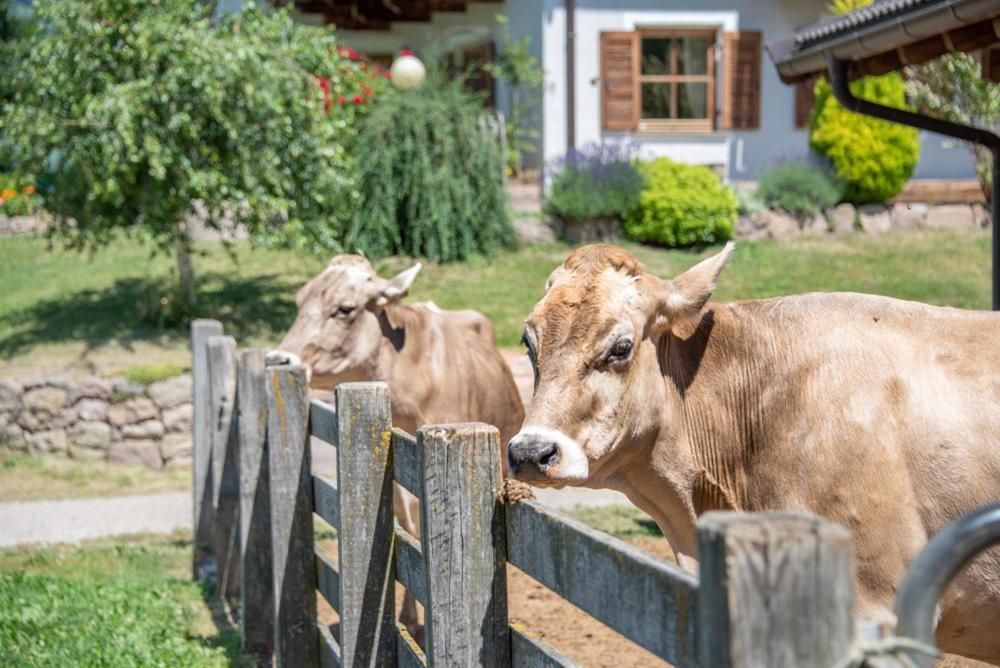 Ebenhof Collepietra (Trentino Alto Adige) Exterior foto